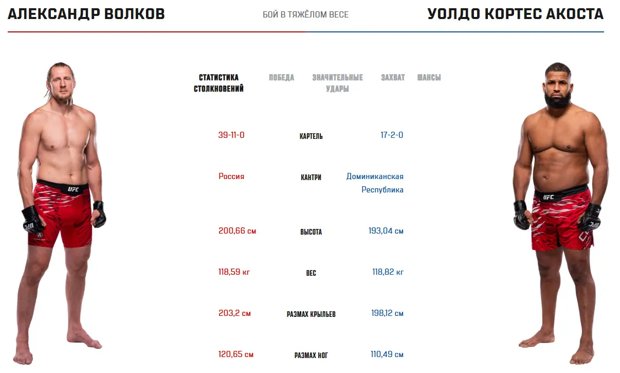Акоста волков
