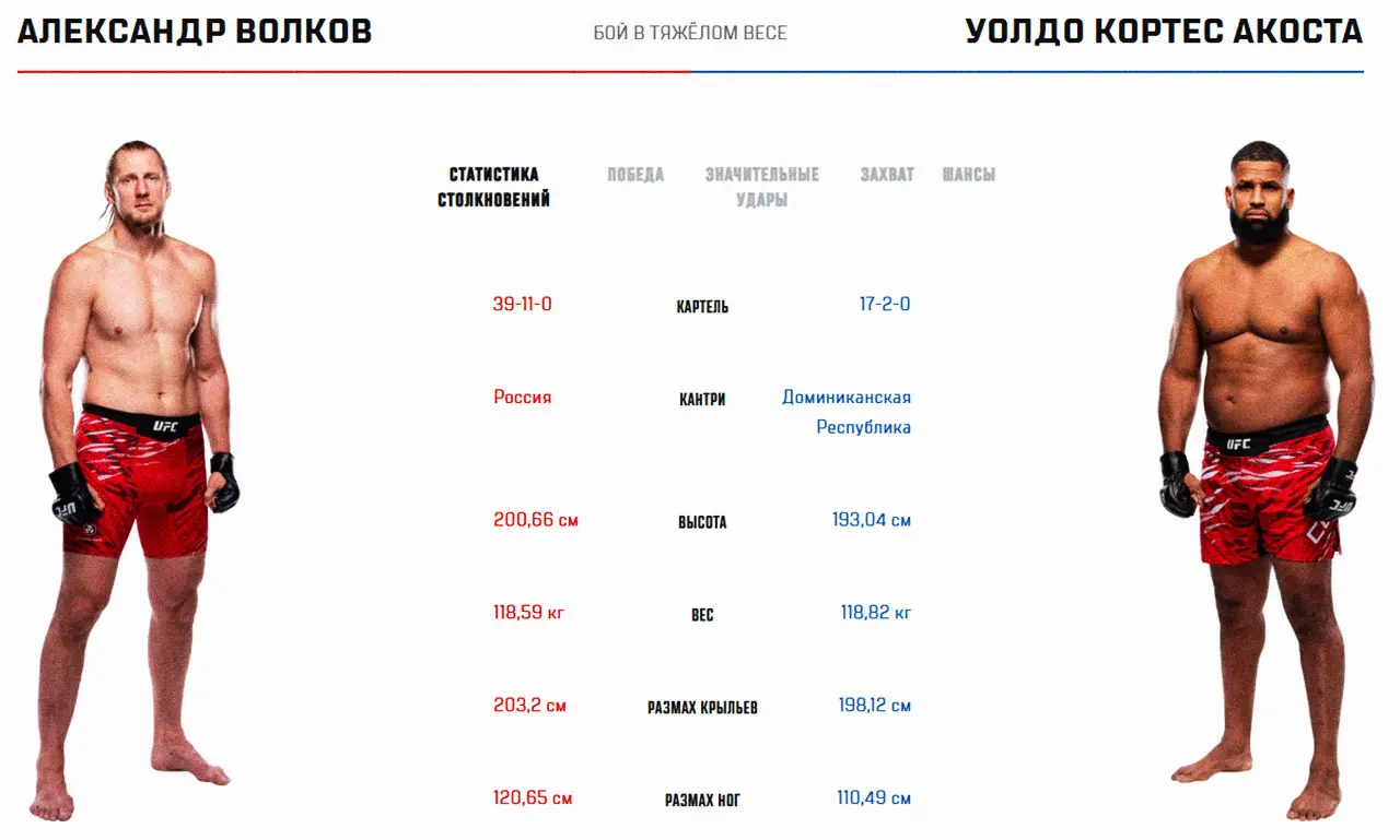 Александр волков vs вальдо кортес акоста